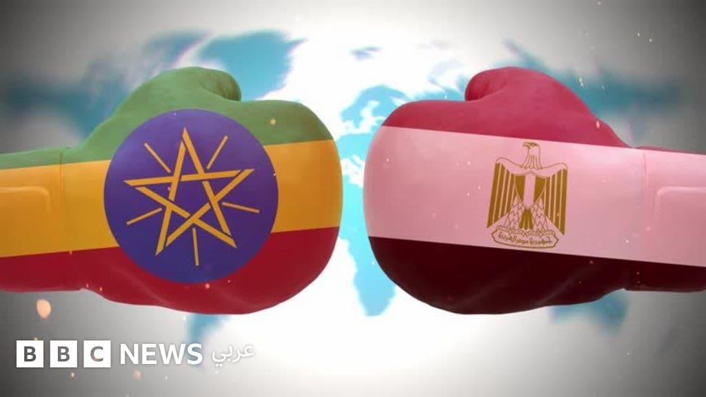 "النفاذ إلى البحر الأحمر": فصل جديد في صراع مصر وإثيوبيا